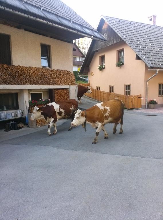 Apartmaji Matej Cvetek Bohinj Luaran gambar