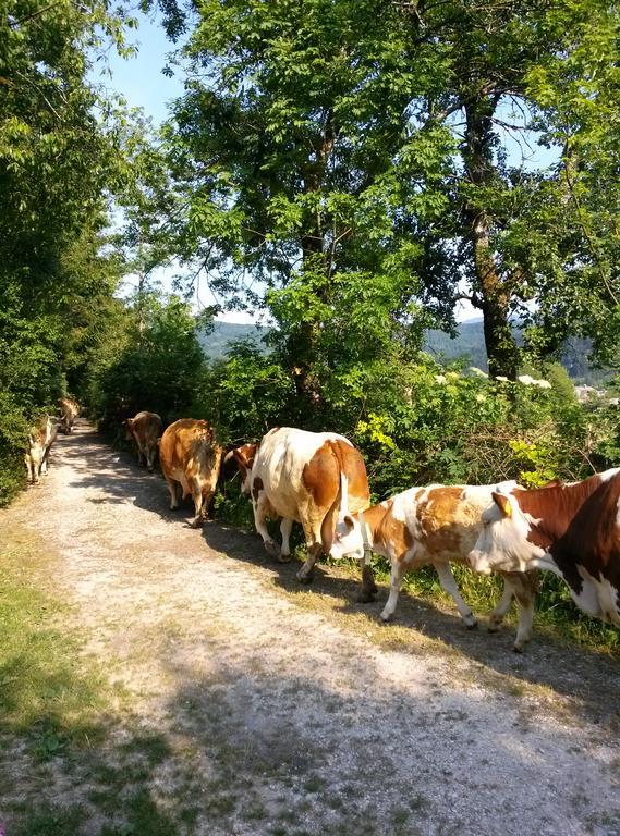 Apartmaji Matej Cvetek Bohinj Luaran gambar